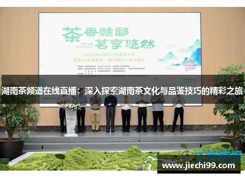 湖南茶频道在线直播：深入探索湖南茶文化与品鉴技巧的精彩之旅